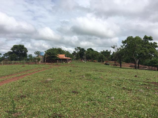 Linda fazenda com casa Sede - Foto 14