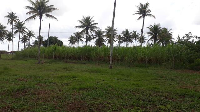 Fazenda em Mata de São João. BA - Foto 7