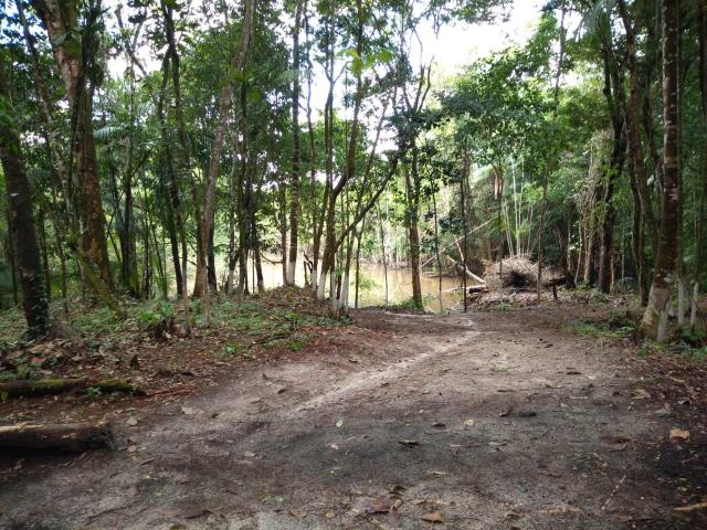 Terrenos 10x50m com acesso a rio e igarapé - Foto 3