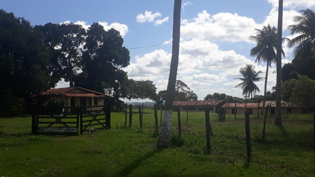 Fazenda em Mata de São João. BA - Foto 13