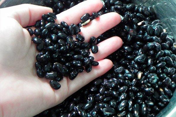 Feijão Preto Argentino 4 mm