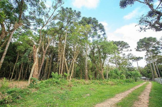 Chácara 0,5 ha, próximo á montadora da Audi 30min/Curitiba só R$85mil