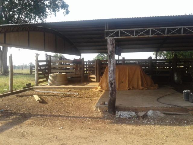 Vende-se sítio - Foto 2