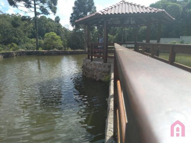 Terreno à venda em Nossa senhora da saúde, Caxias do sul cod:2161 - Foto 10