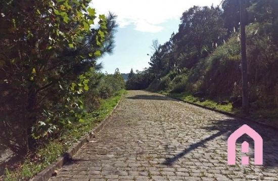 Terreno à venda em São luiz, Caxias do sul cod:2431 - Foto 3