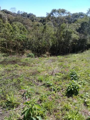 Ref. 2385 - Chácara de 5.854,14 m² com tanque e Luz - Contenda - Foto 9