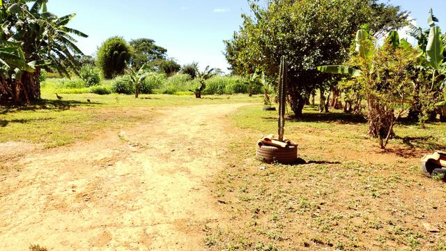 Chácara 20.000m2 incra 9 3km de chão casa simples pomar pode escriturar - Foto 16