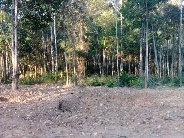 Terrenos para vc construir sua casa de campo a 2,5 km do mar  - Foto 8