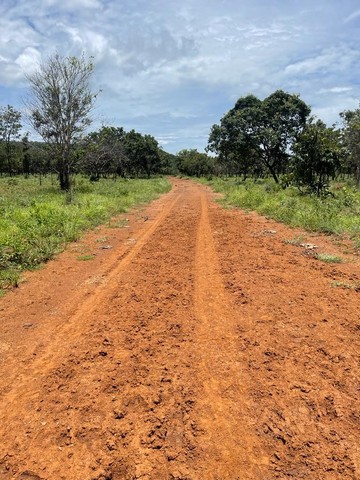 28.500 hectares em Tocantins - Foto 4