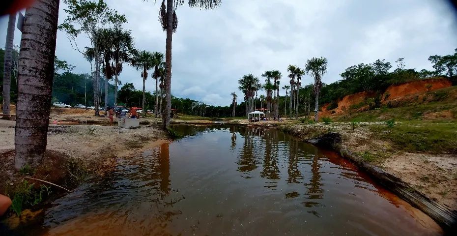 foto - Manaus - Aleixo
