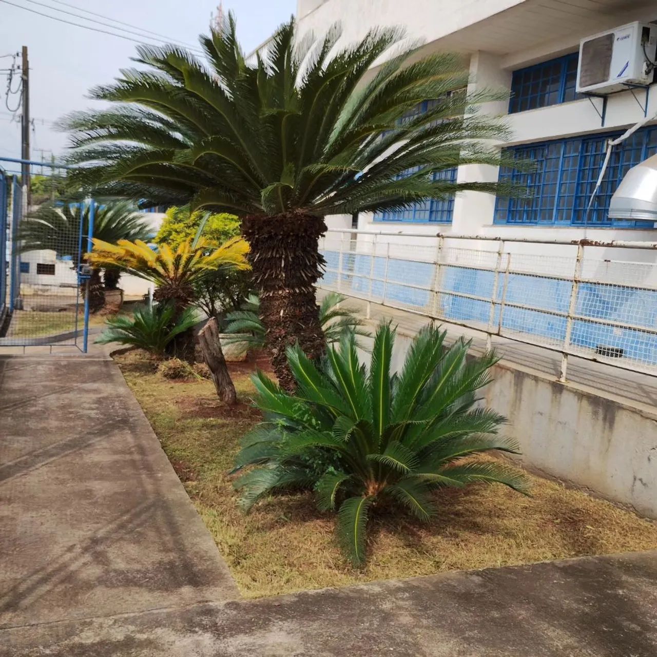 Jardineiro  - Foto 4