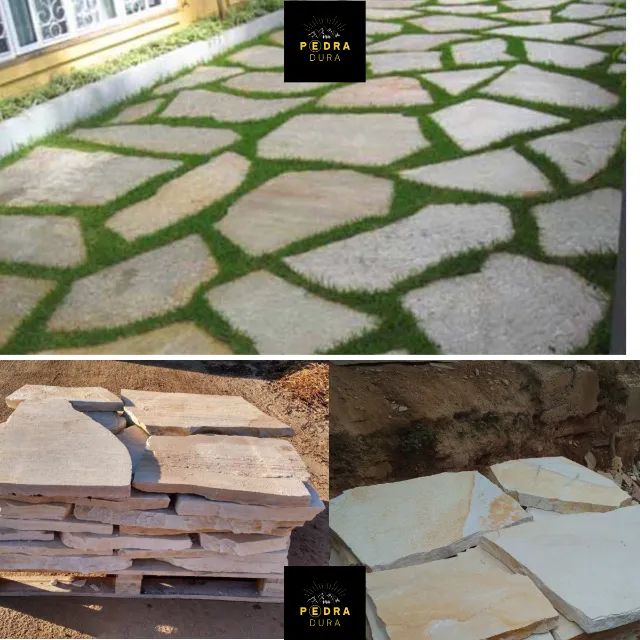 Cacão Para Jardins - Cacão São Tomé Legitima -  - Foto 4