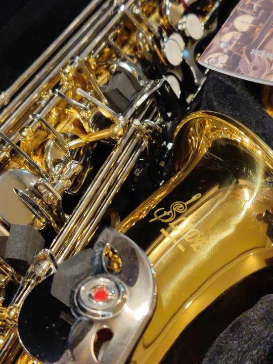 Sax Saxofone Alto Conservatório Escola de Música Universidade - Foto 3
