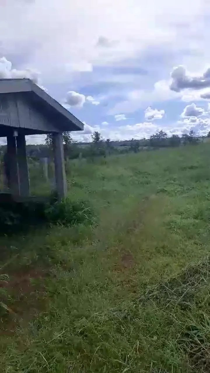 Fazenda em Juara - 100 hectares - Excelente Forma - Foto 5