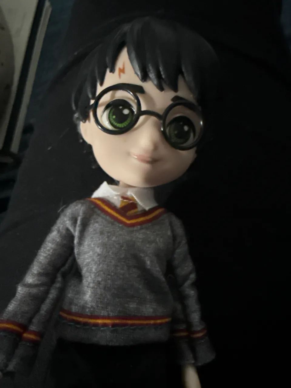 Harry Potter Novo 