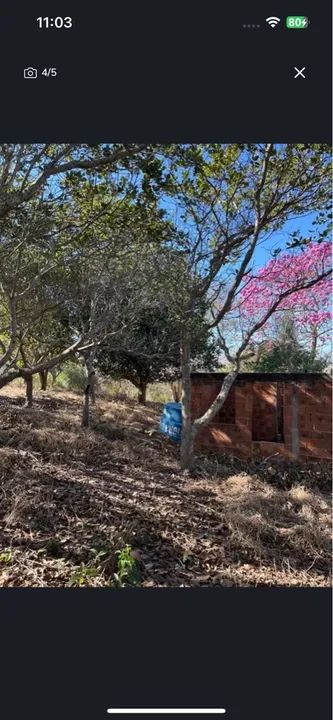 Vende SÍTIO  - Foto 2