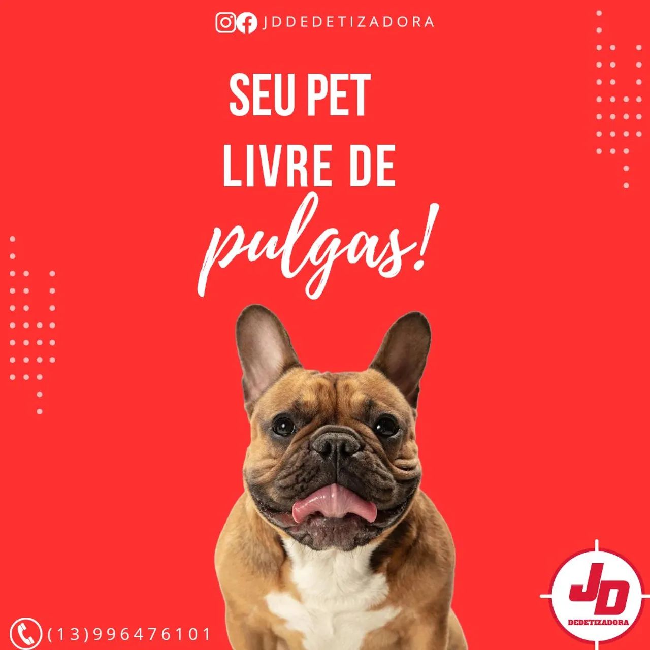 Dedetização em geral - Foto 2