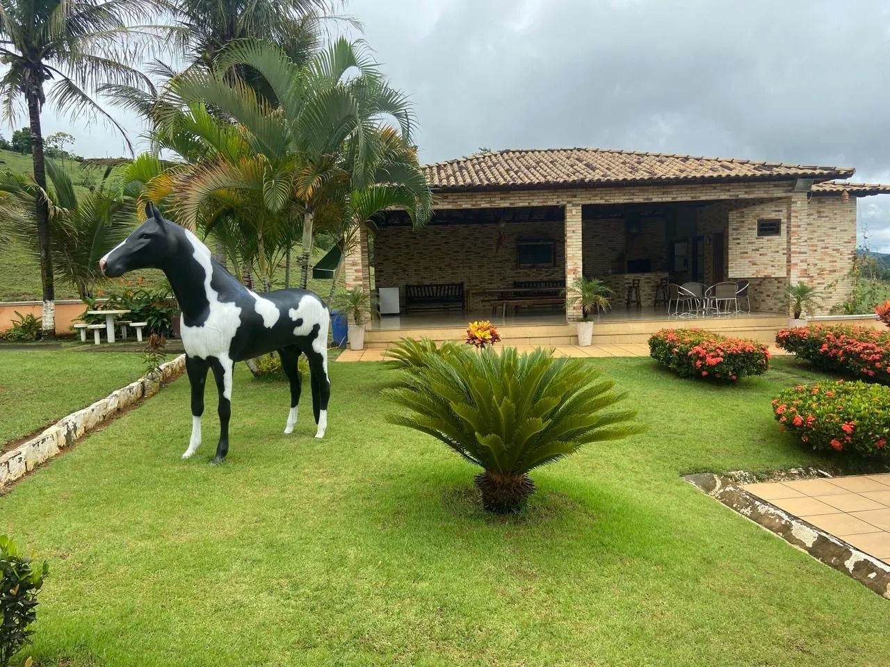 Oportunidade Vende-se Sítio no Paraíso  - Foto 2