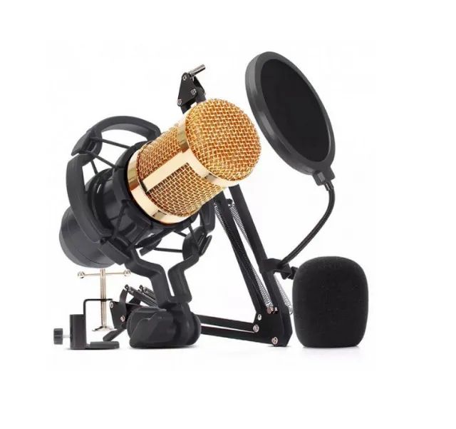 Kit Microfone Condensador Com Braço Articulado  Leboss  - Foto 3