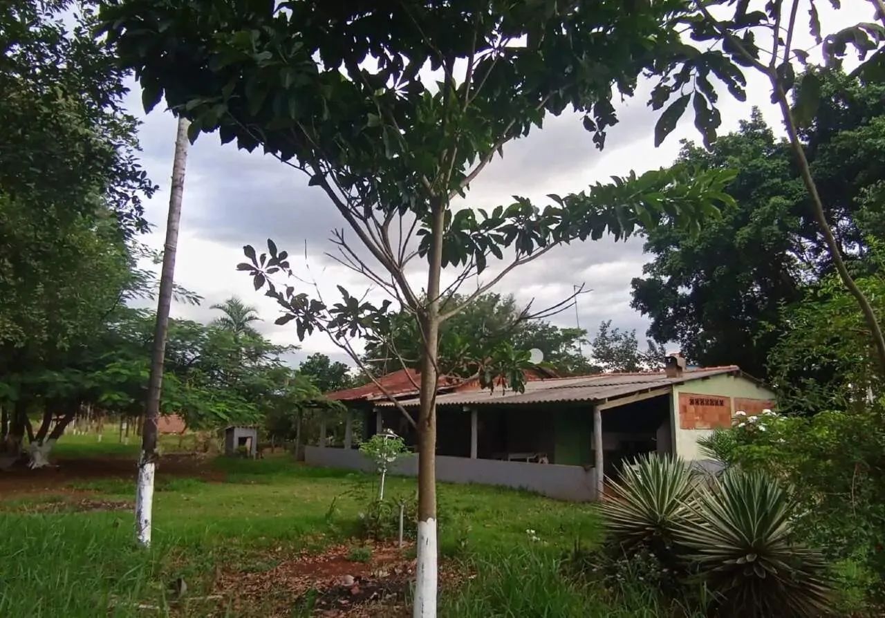 Chácara à Venda  12 Hectares | Sidrolândia - MS - Foto 4