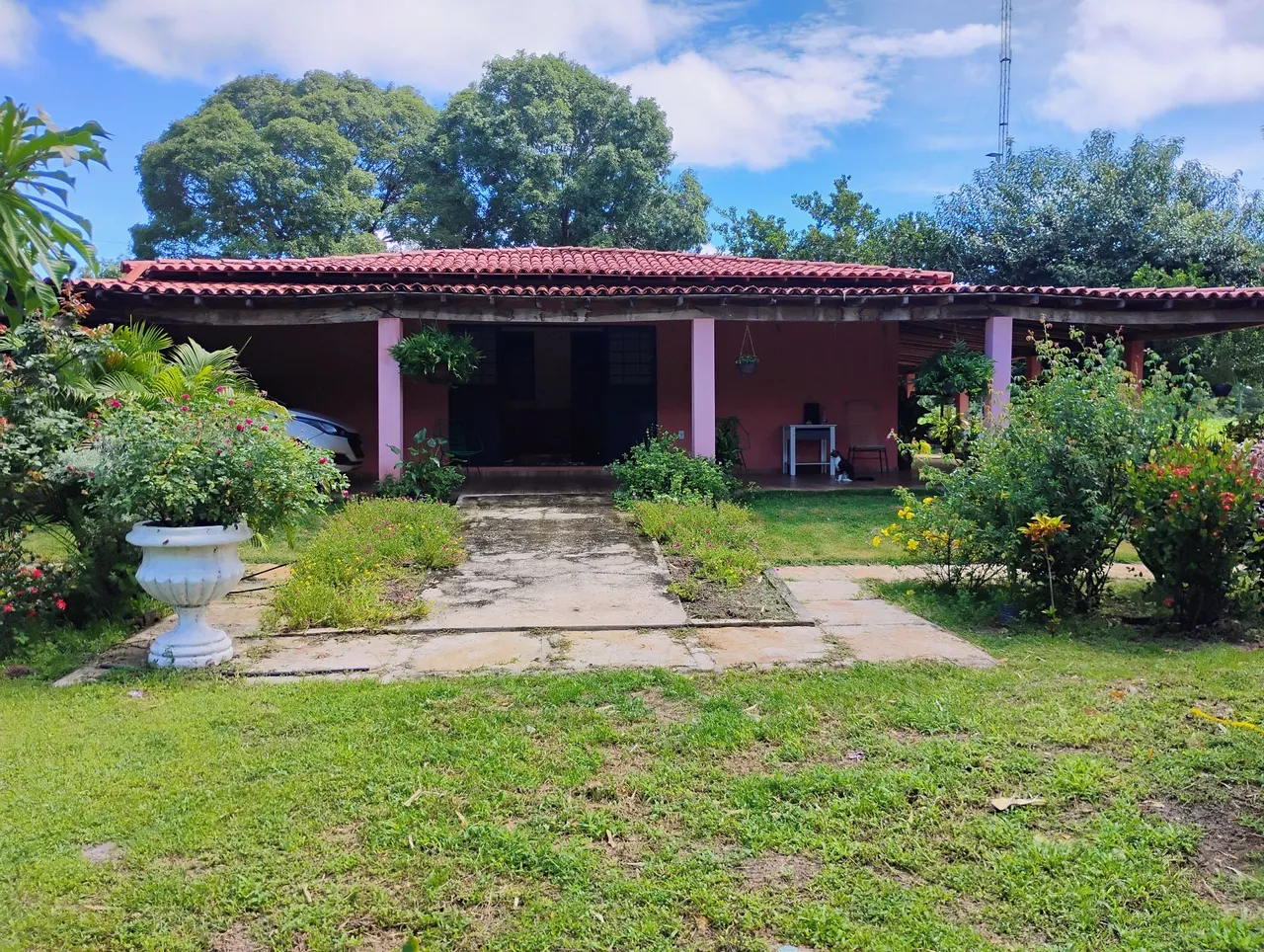 Vende-se fazanda região de J. de Freitras-PI