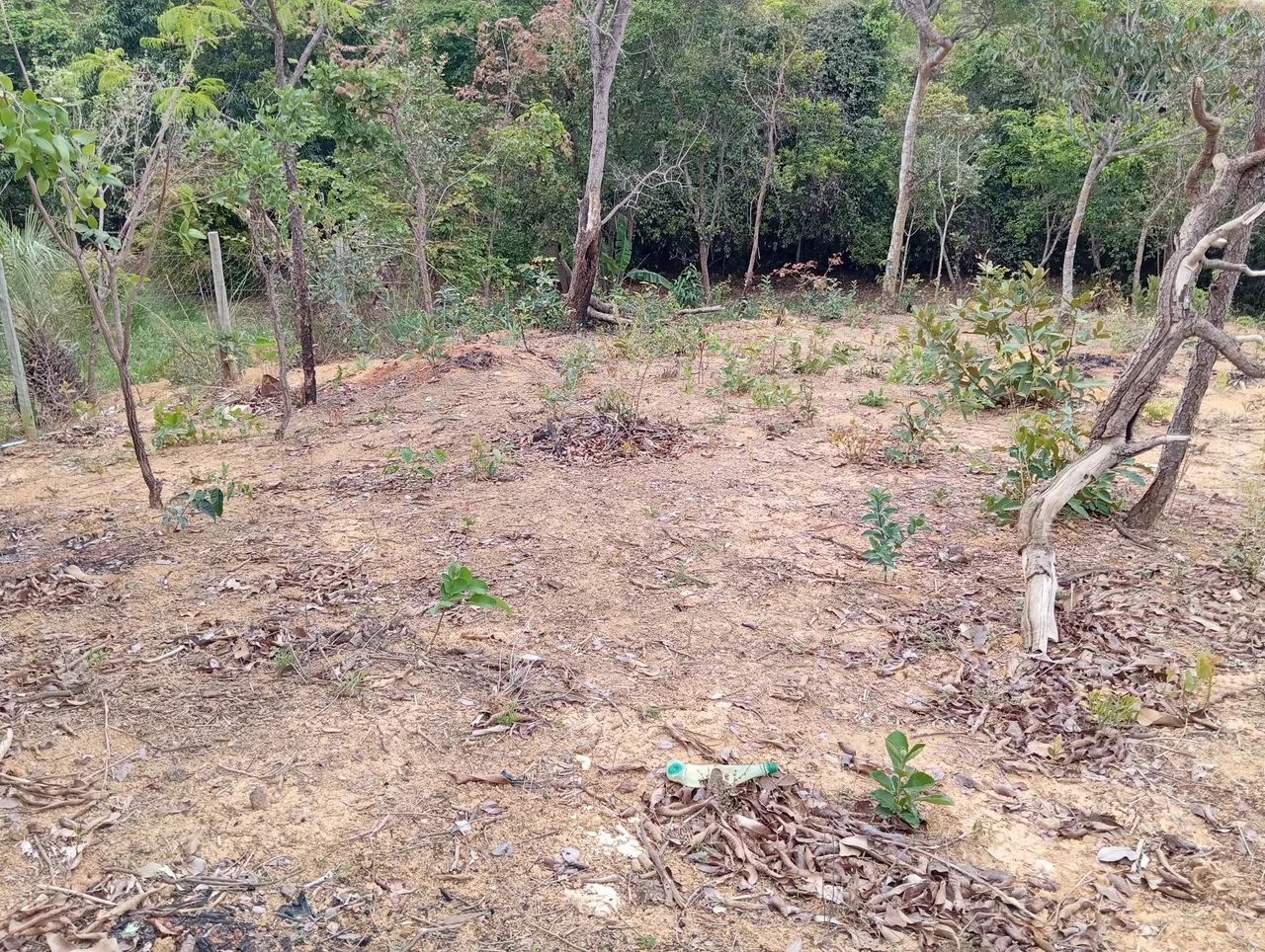 Chácara 10 min Parque Municipal,Aceita Imovel até 120 .000 e volta Diferença!!! - Foto 13