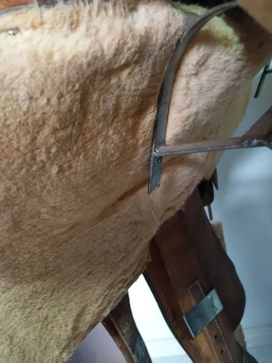 Sela de laço  - Foto 3