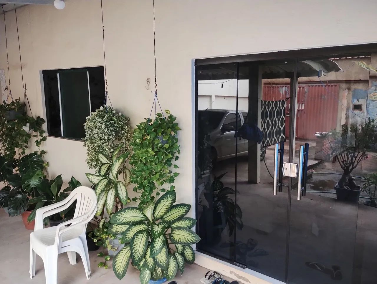 Foto - Porto Velho - Castanheira