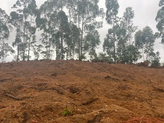 Lote em Alfredo Vasconcelos/ CARÁ   - Foto 3