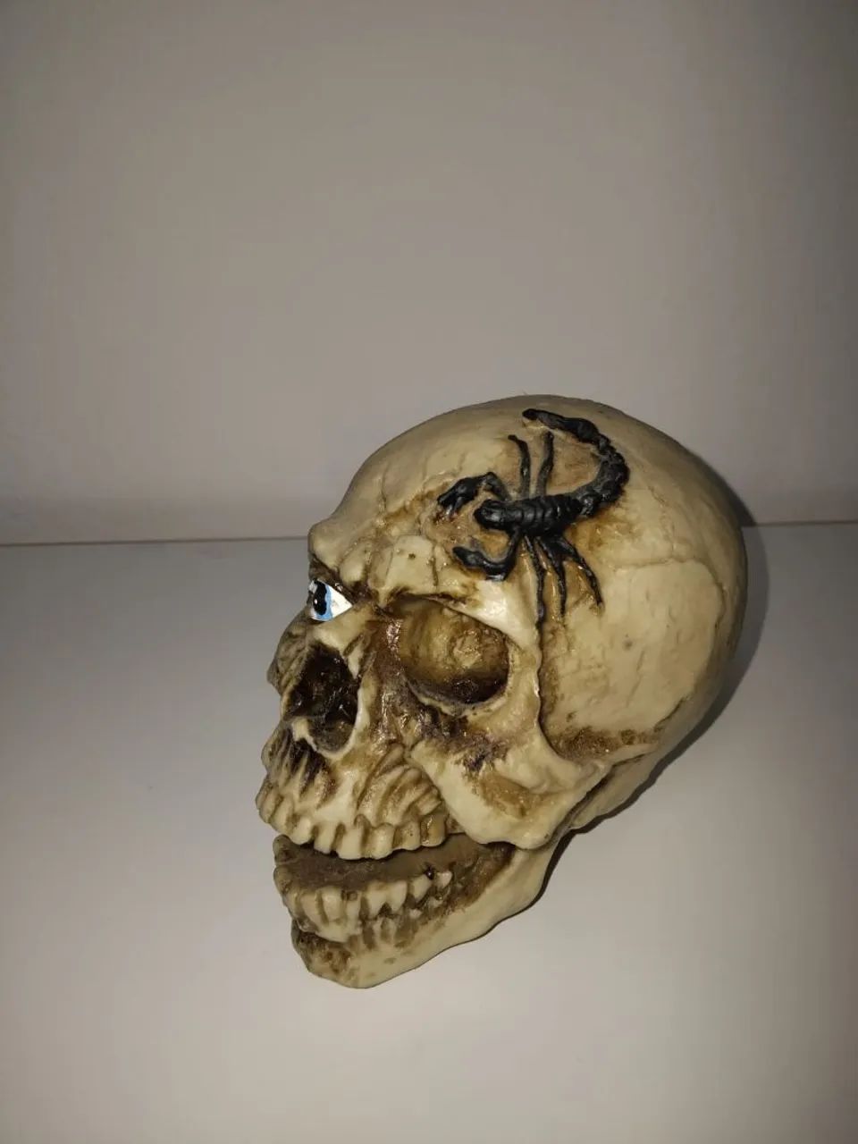 Caveira  - Foto 2