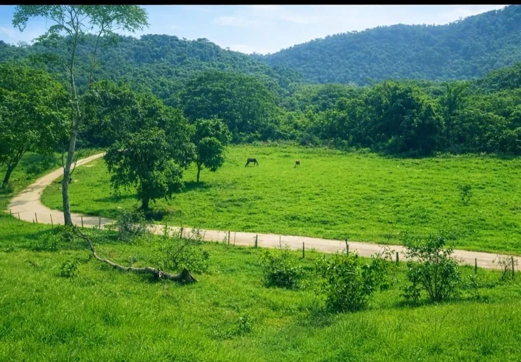 Foto - Duque de Caxias - Mantiquira