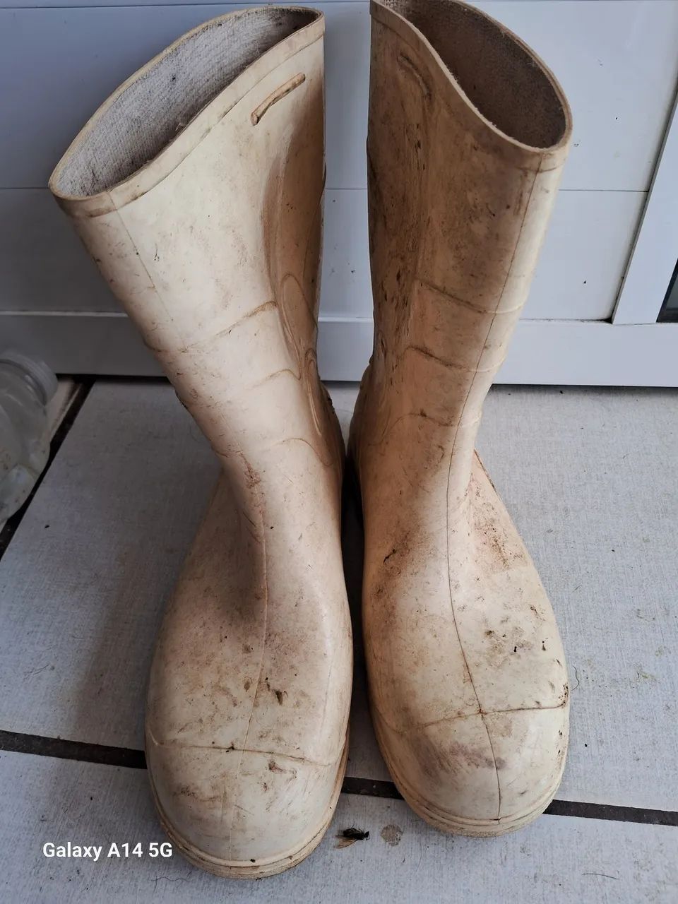 Bota de borracha 