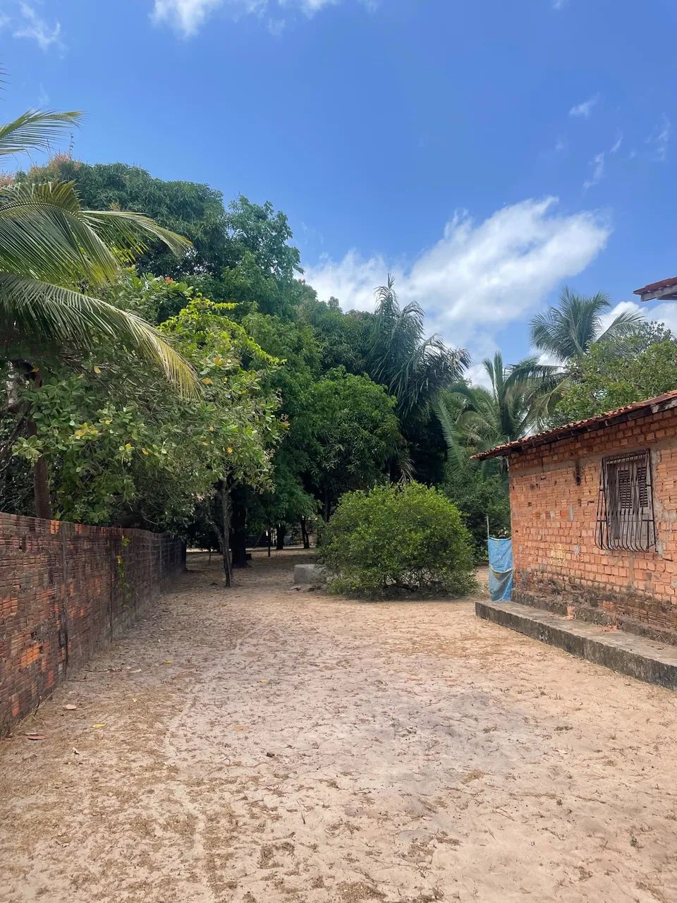Sítio com Casa Ampla  - Foto 2