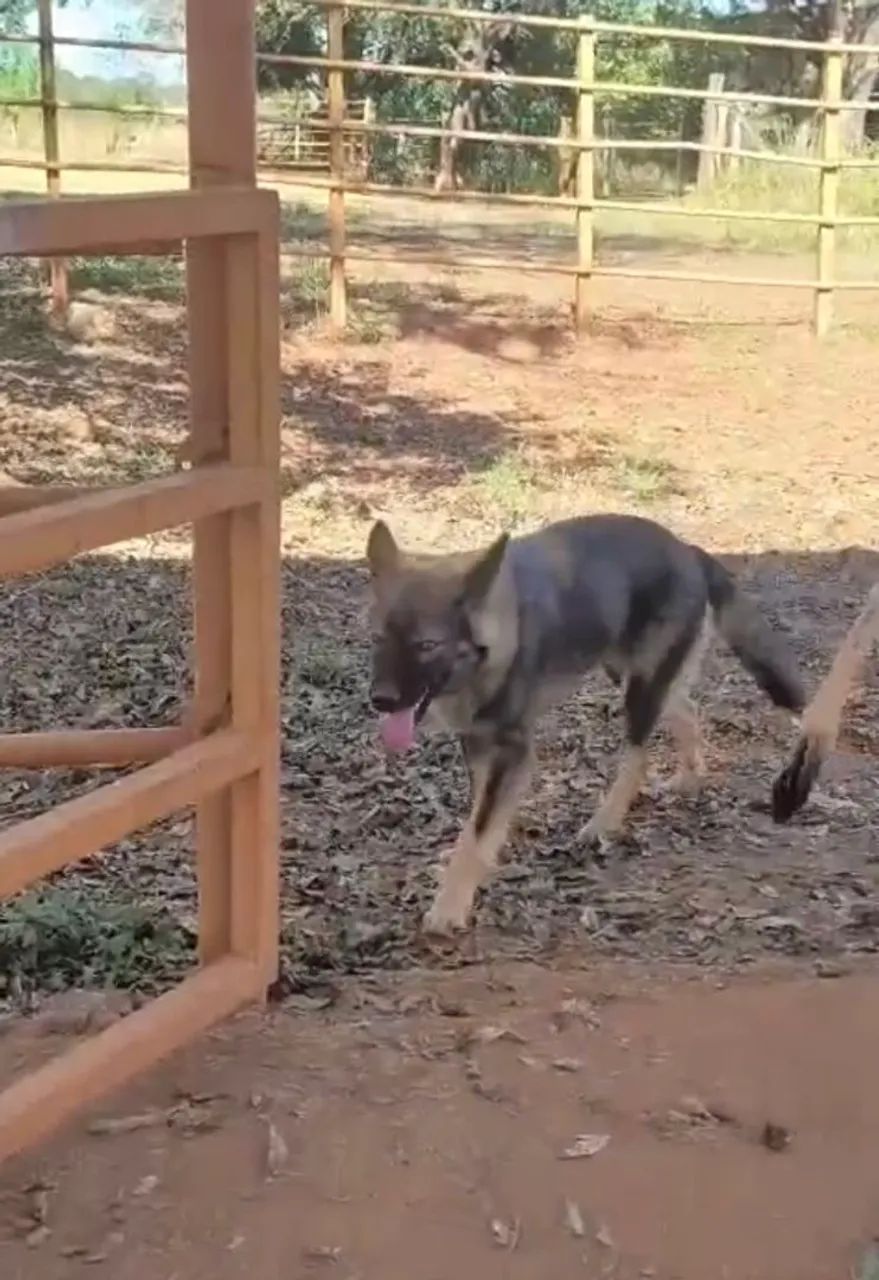 Doação 