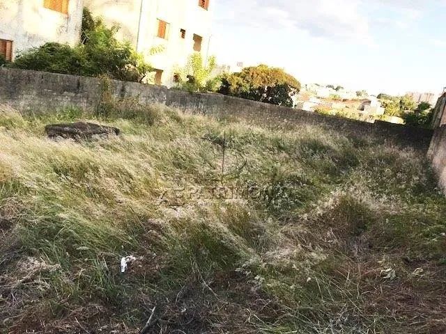 TERRENO,0 Dormitorio(s) bairro Europa - Foto 4