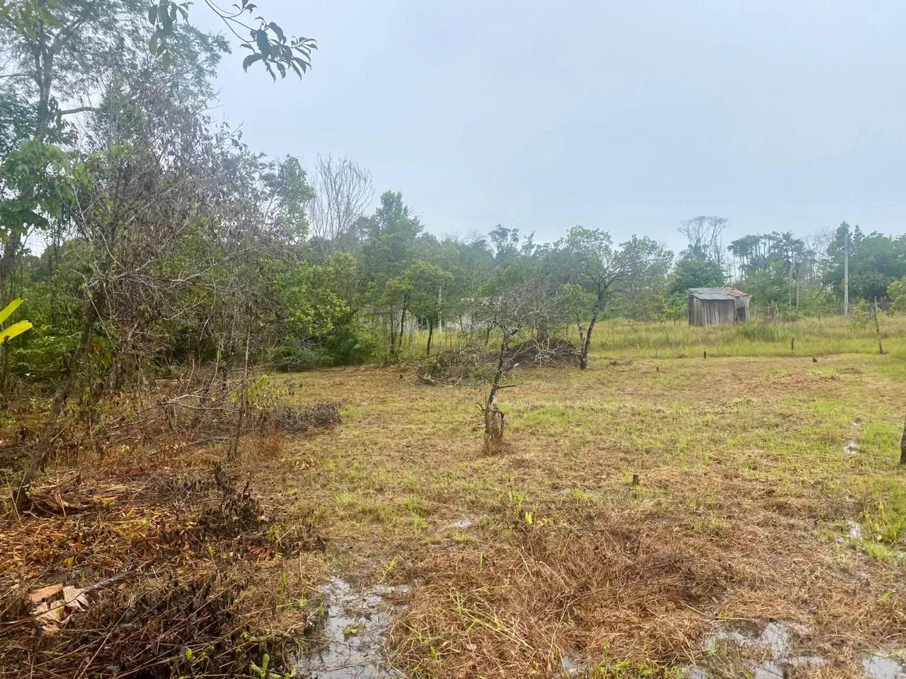 Terreno em mosqueiro INVESTIMENTO - Foto 3