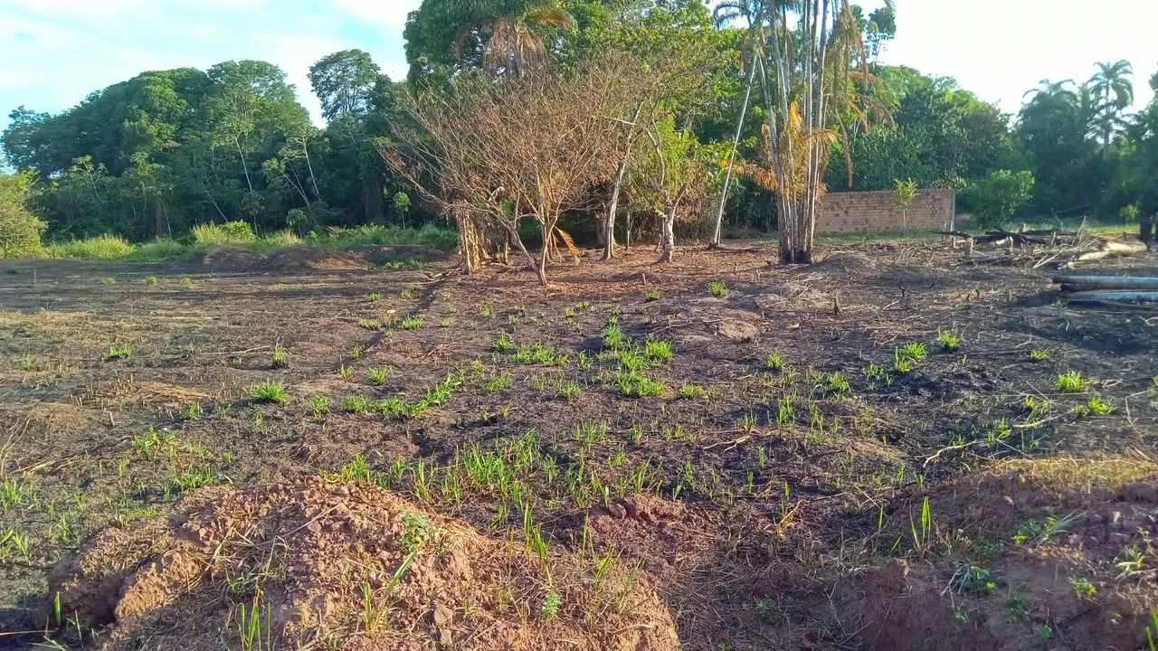 Terreno  - Foto 2