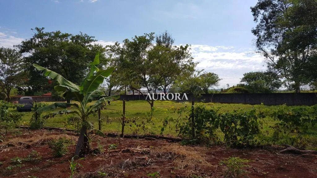 Terreno à venda, 5000 m² por R$ 1.200.000,00 - Conjunto Cafezal 1 - Londrina/PR - Foto 12
