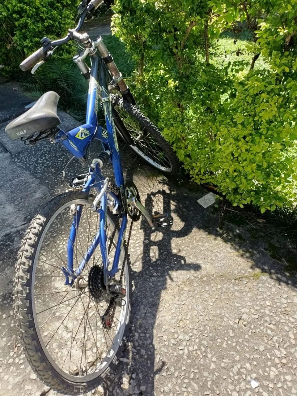Bicicleta 
