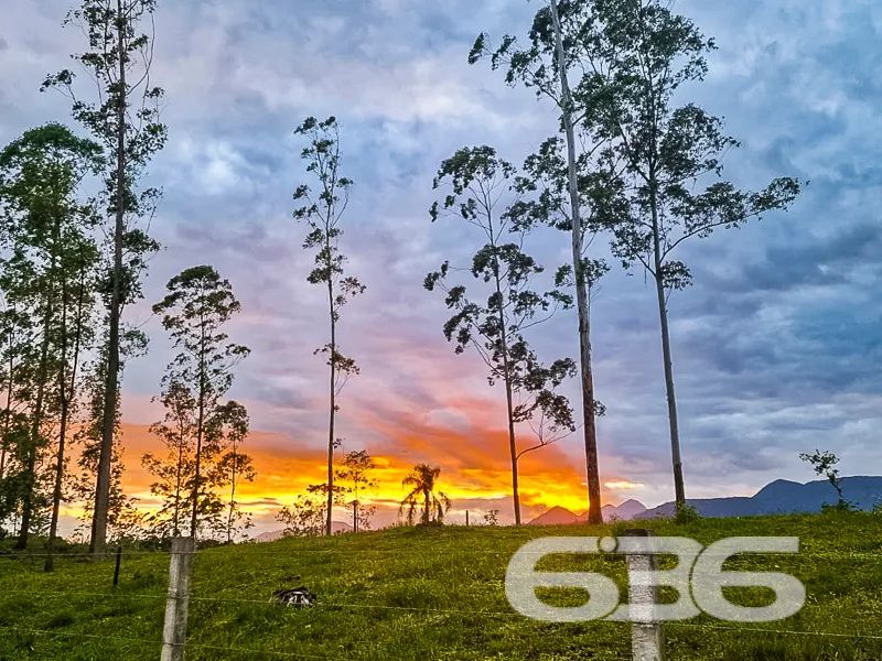 Terreno | Joinville | Pirabeiraba - Foto 2