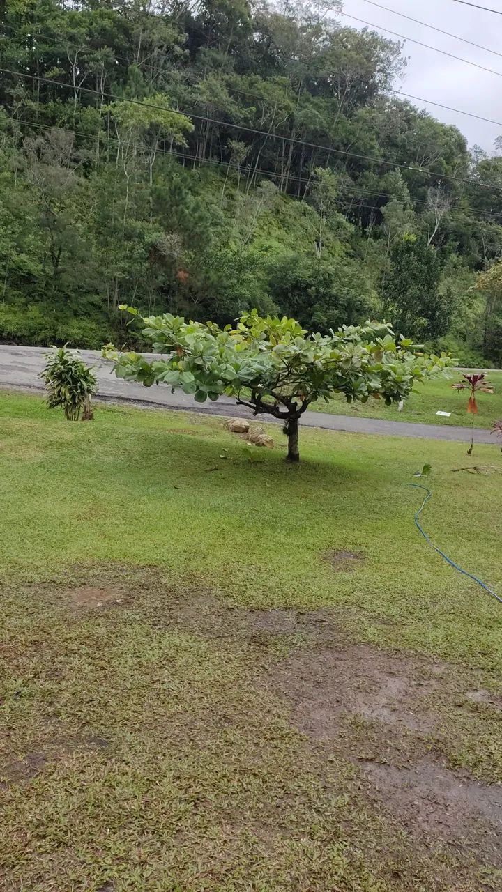 Vende-se de casa com terreno grande  - Foto 3