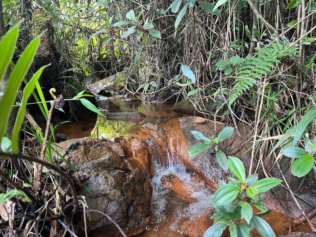Terreno em Curvilhana - Ouro Branco MG - Foto 2