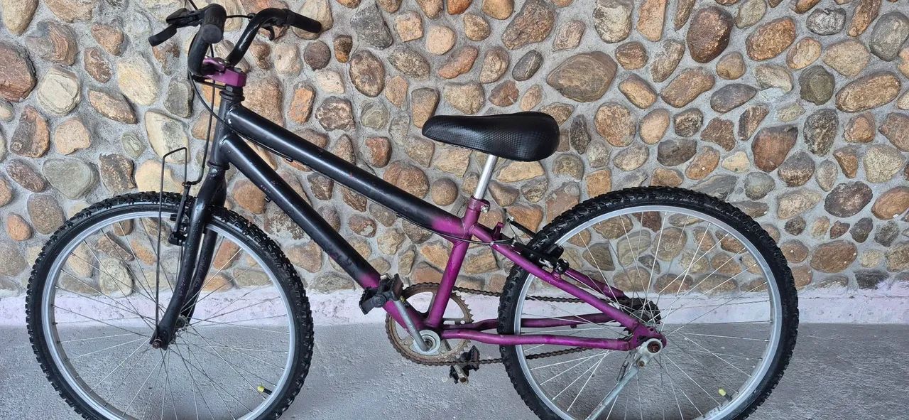 Bicicleta aro 24