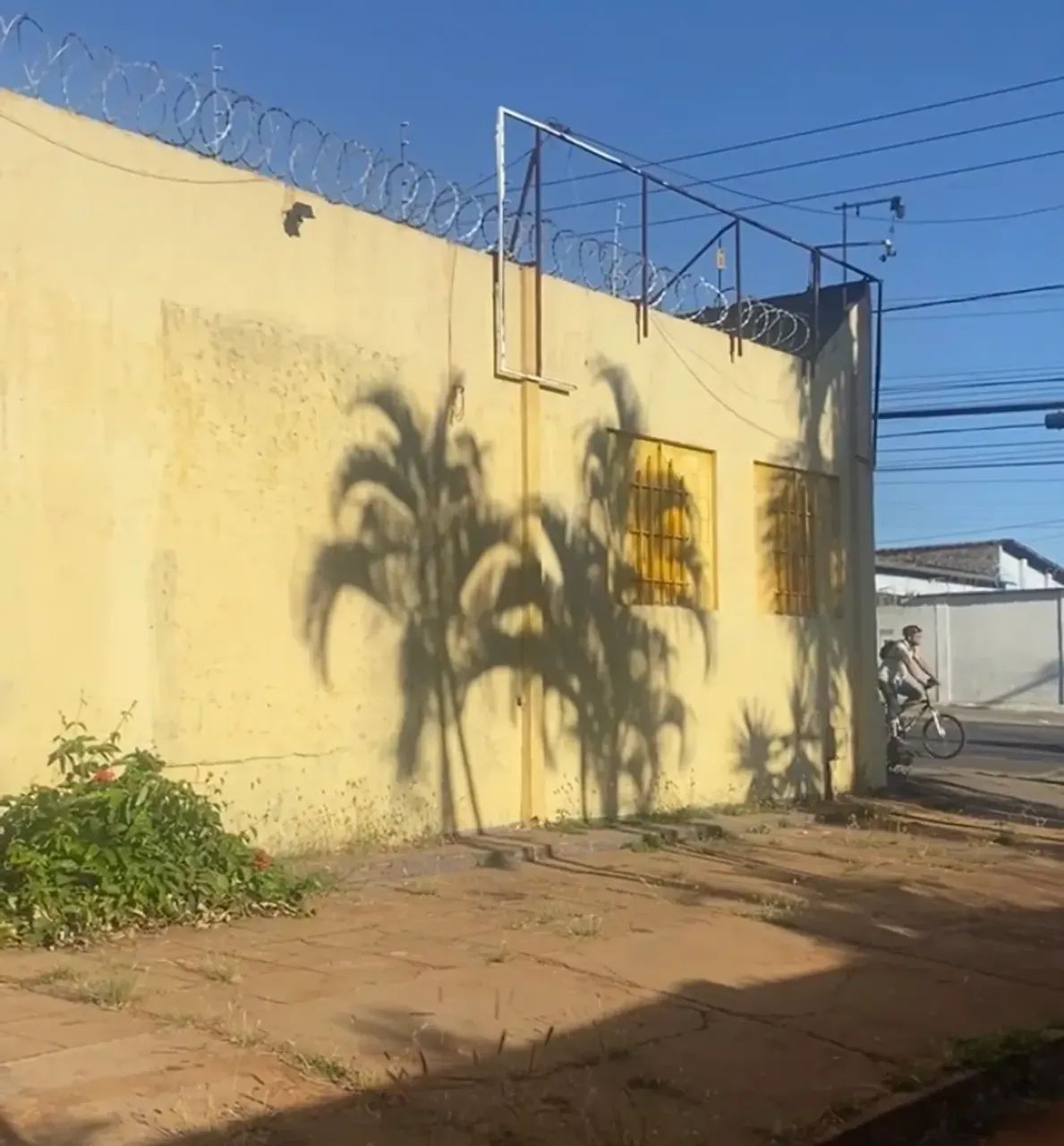 Imóvel Comercial - Foto 5