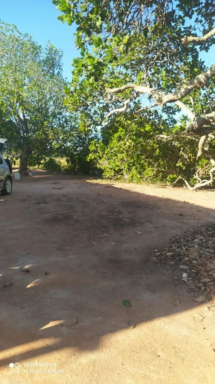 Veendo Sitio C/8 tarefas em ITABAIANA - Foto 3