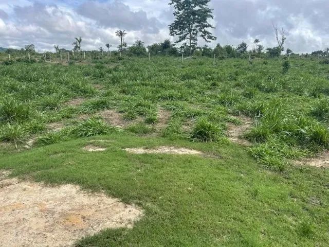 Propriedade rural de 120 hectares em Roraima/Rorainopolis  - Foto 5