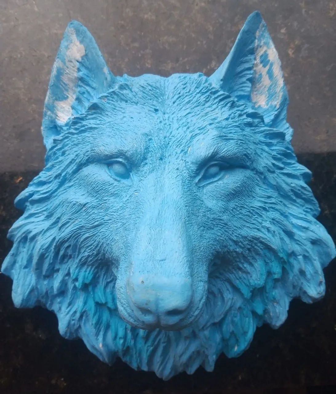 MASCOTE PAYSANDU, "CABEÇA LOBO" - Foto 3
