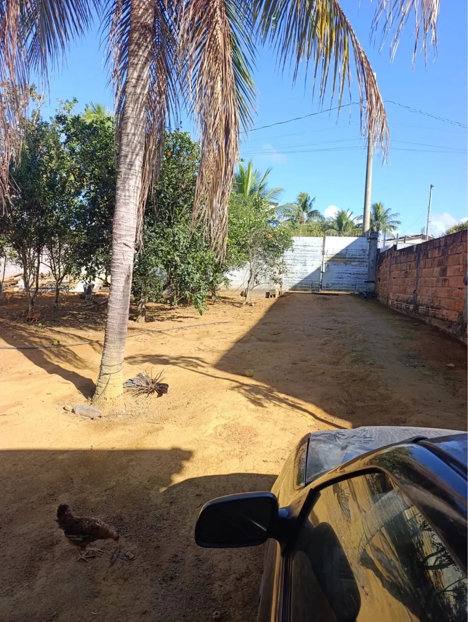 Chácara impecável  - Foto 5