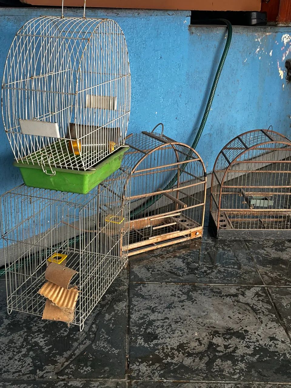 4 gaiolas barato!! - Foto 3
