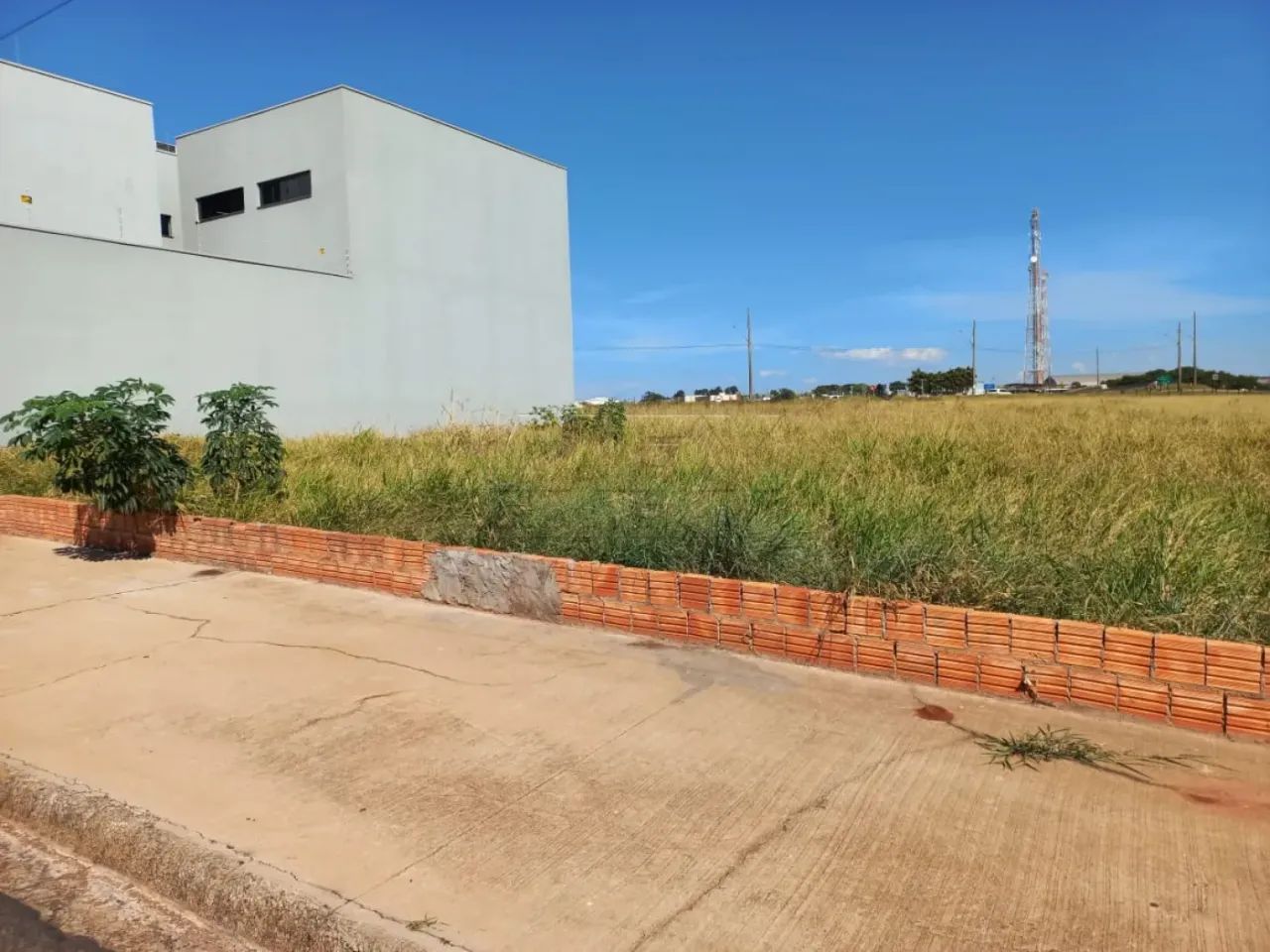 Terreno Padrão em São Manuel - Foto 2